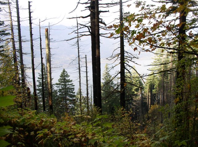 10.28.05 Devil's Rest 128 